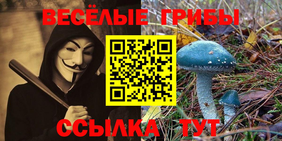 закладки  Вход с VPN  Алейск  Галлюциногенные грибы мицелий 